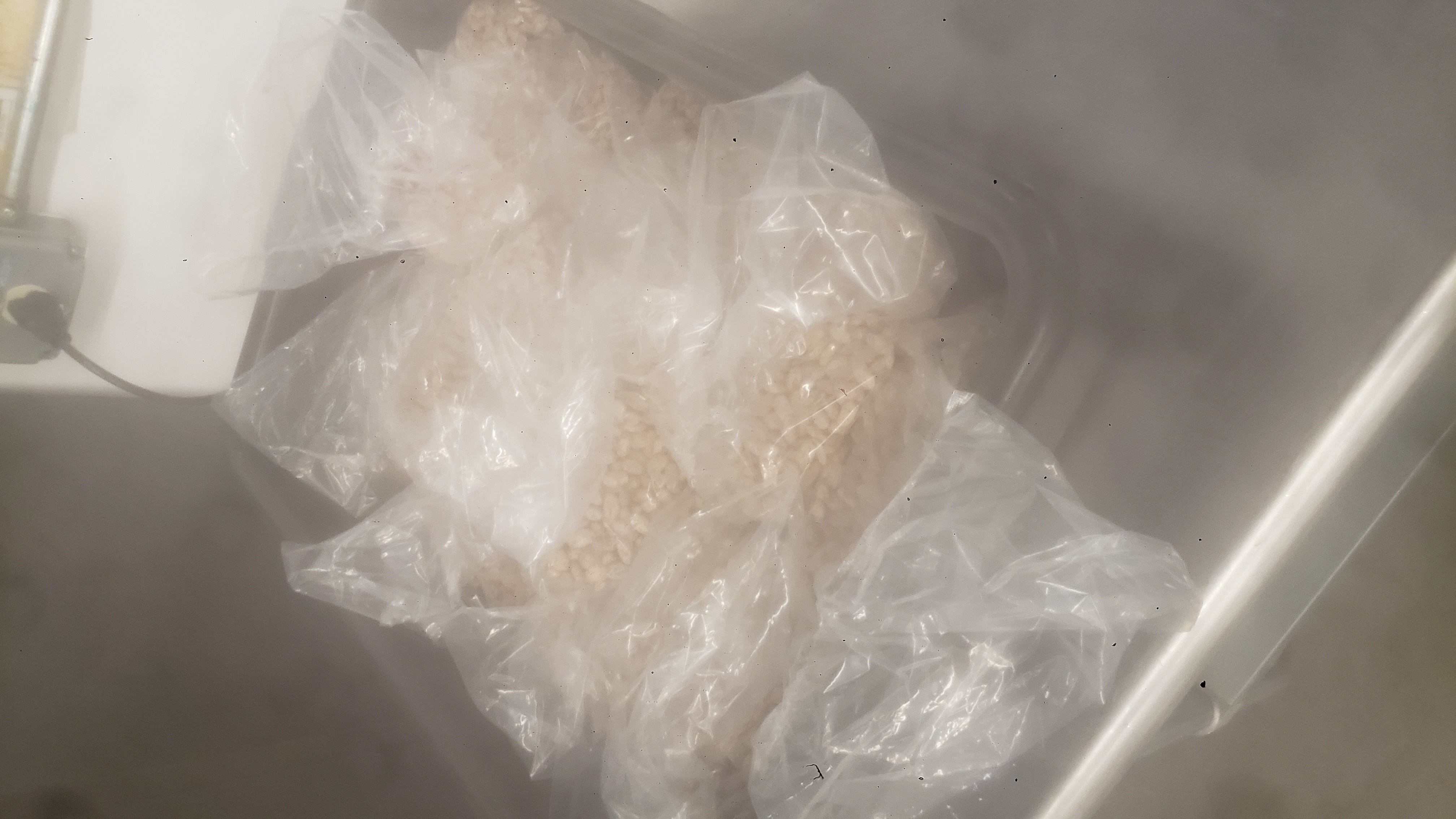 Plastic tub filled with bags of pinto beans.